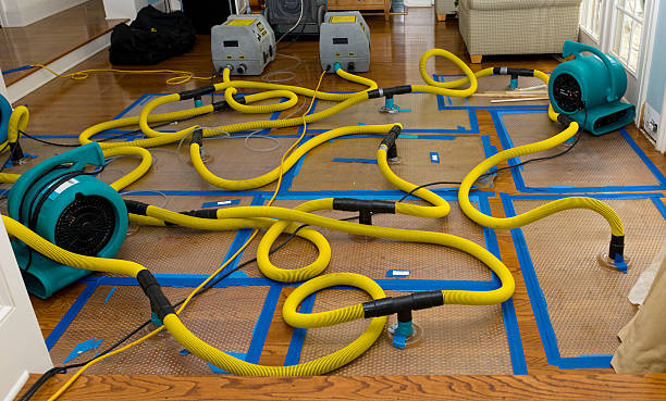 Professional Storm Water Damage Restoration technician working in Sonoma, CA